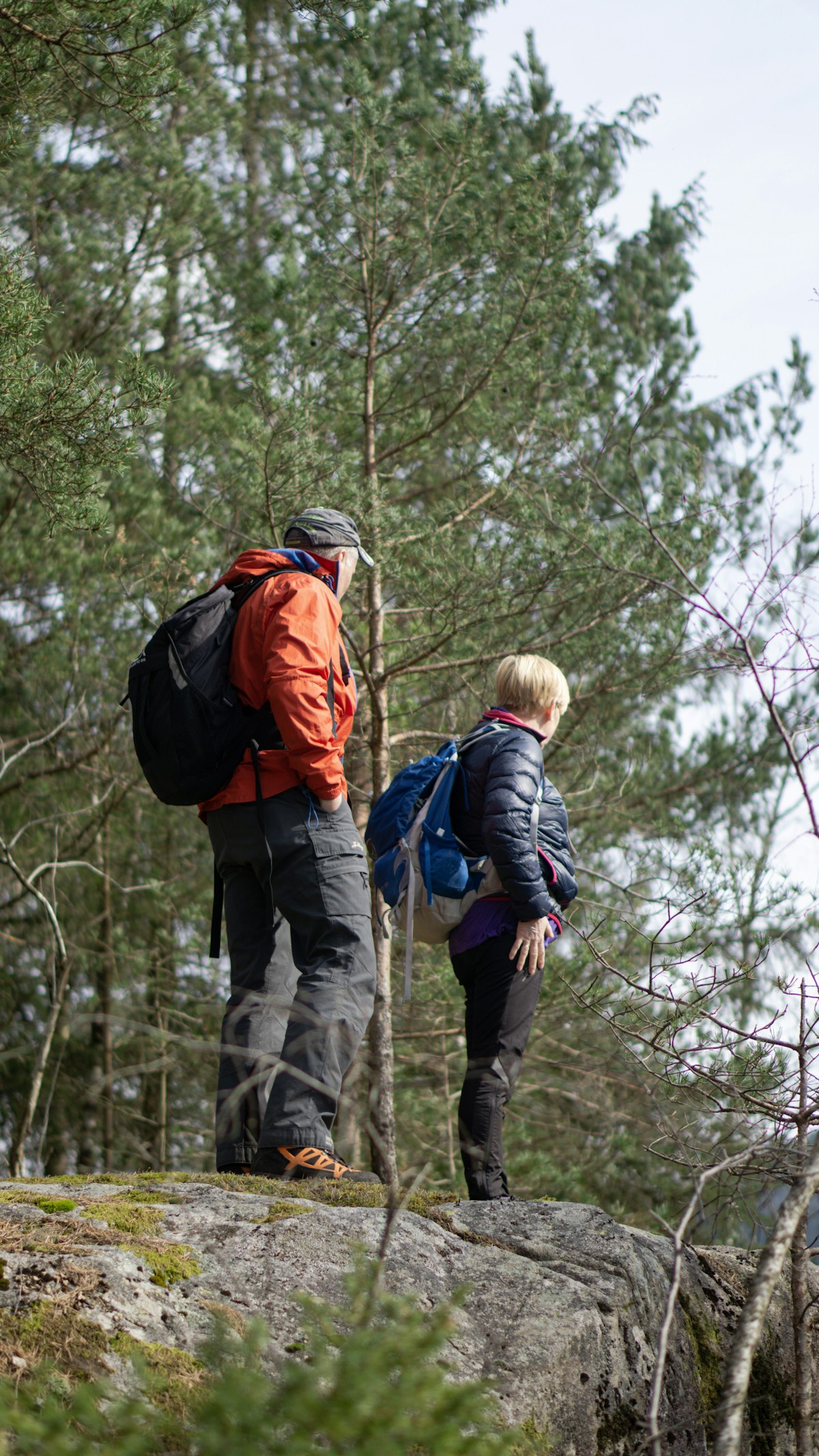 Consejos para blogear un viaje a la naturaleza